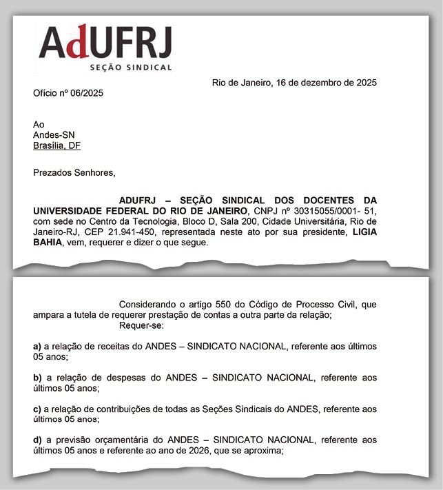 WhatsApp Image 2026 02 13 at 21.15.36 17