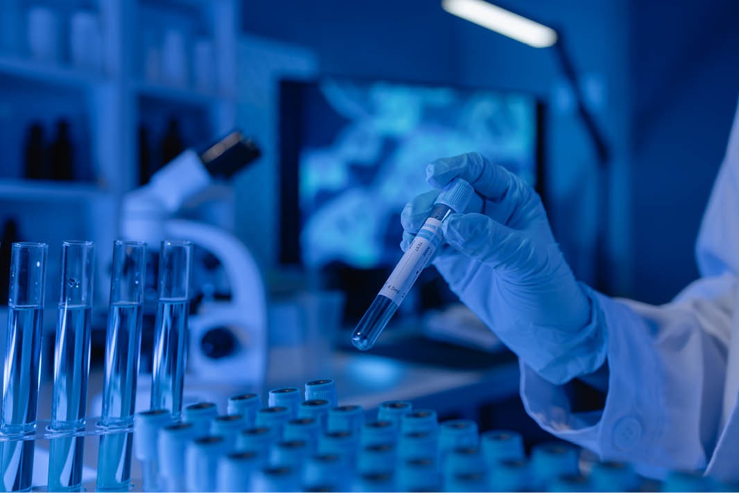 WhatsApp Image 2026 02 13 at 21.15.36 4