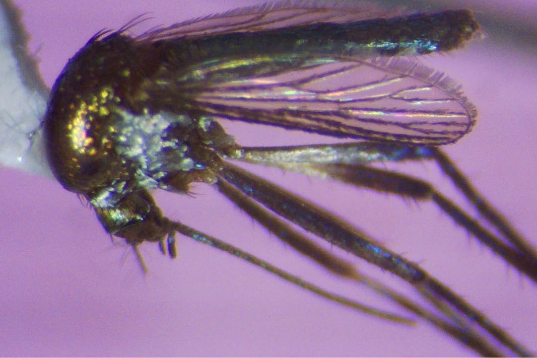 WhatsApp Image 2026 02 13 at 21.15.36 8